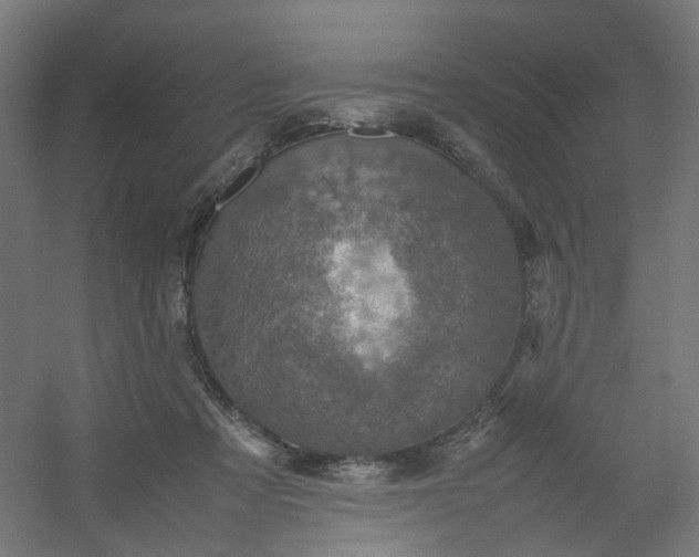 X0000054370313200508121547