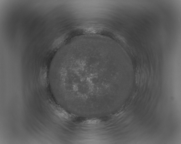 X0000054370314200508121547