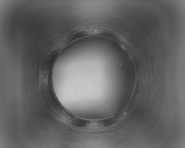 X0000054370315200508121547