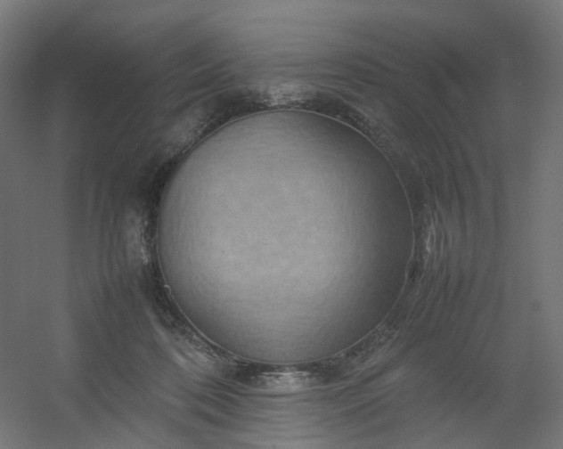 X0000054370316200508121547