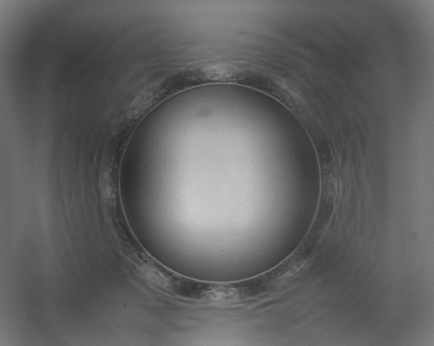 X0000054370317200508121547