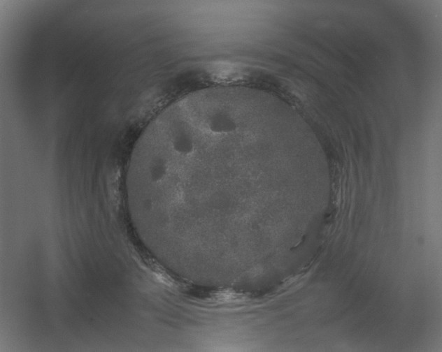 X0000054370319200508121547