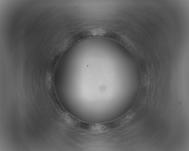 X0000054370321200508121547