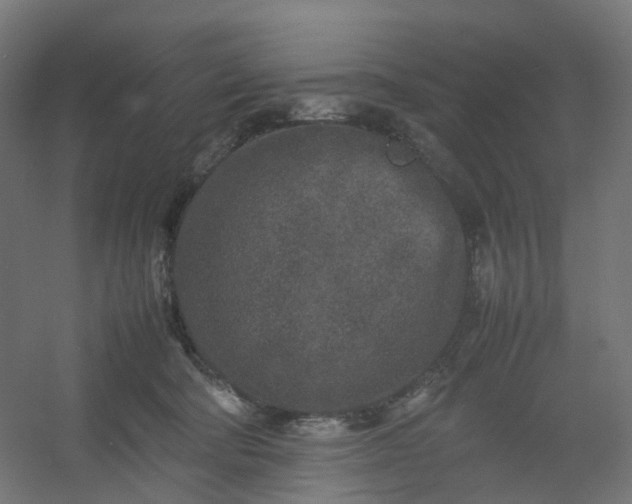 X0000054370322200508121547