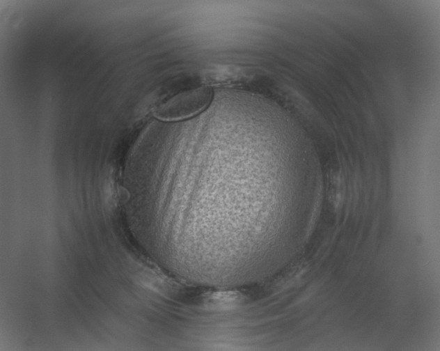 X0000054370324200508121547