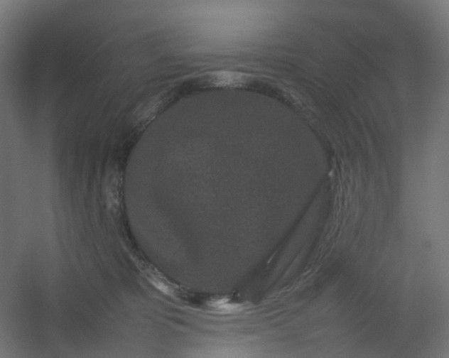 X0000054370325200508121547