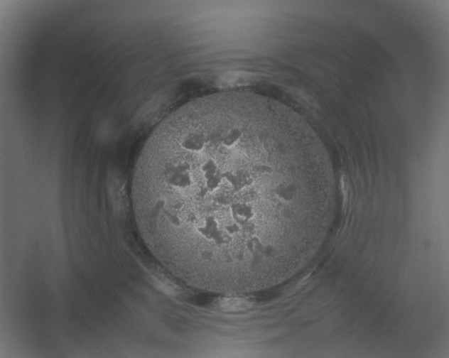 X0000054370327200508121547