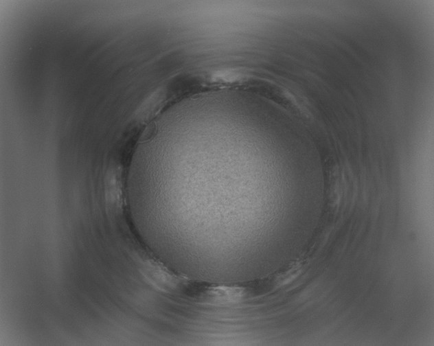 X0000054370328200508121547