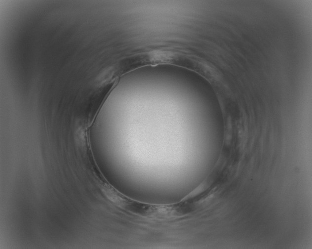 X0000054370329200508121547