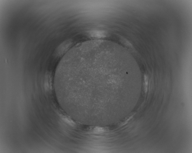 X0000054370330200508121547