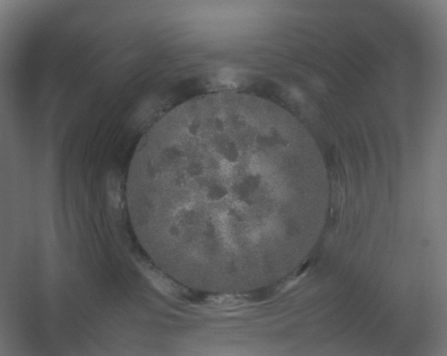 X0000054370331200508121547