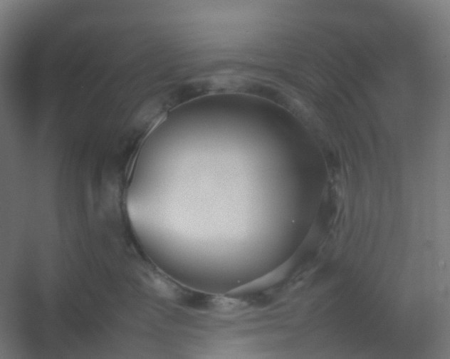 X0000054370333200508121547