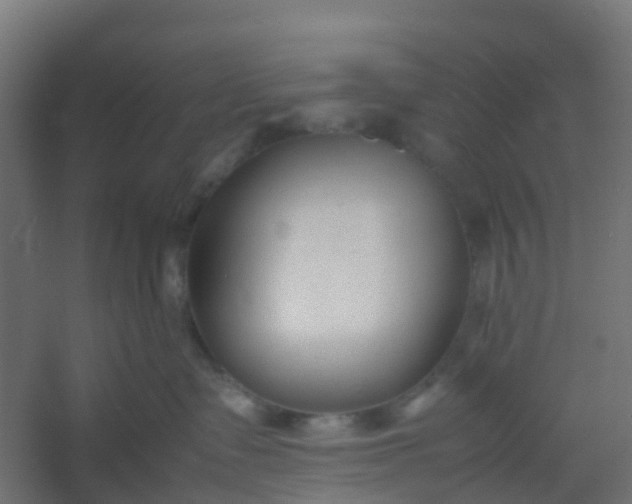 X0000054370335200508121547