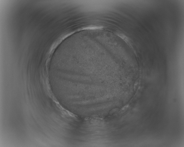 X0000054370337200508121546