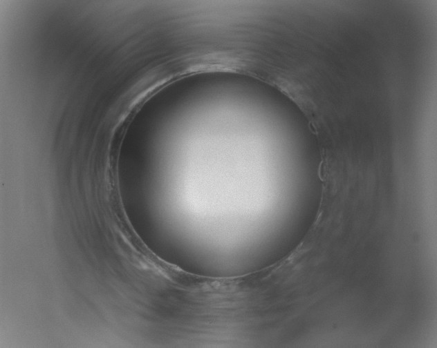 X0000054370338200508121546