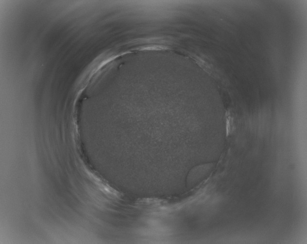 X0000054370339200508121546