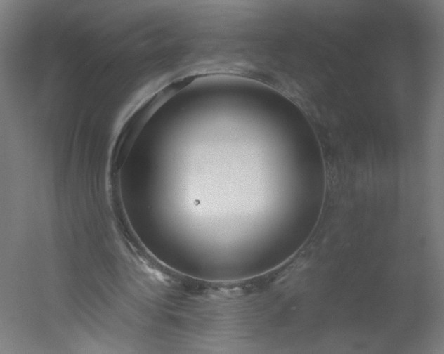 X0000054370340200508121546