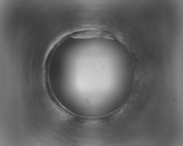 X0000054370342200508121546