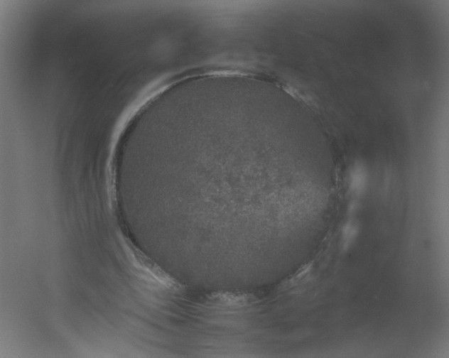 X0000054370343200508121546