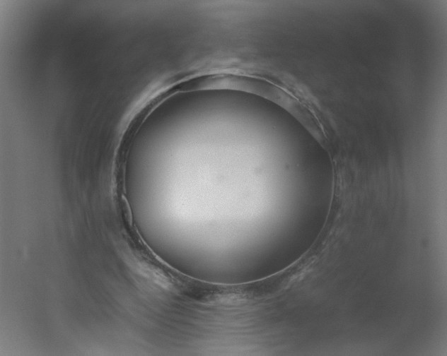 X0000054370344200508121546