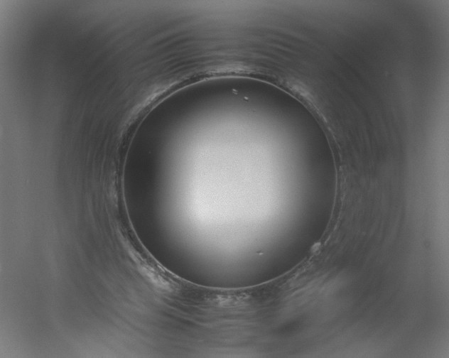 X0000054370345200508121546