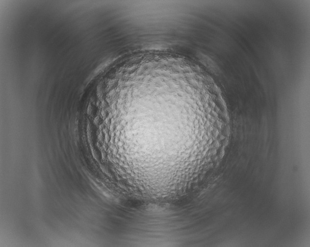 X0000054370346200508121546