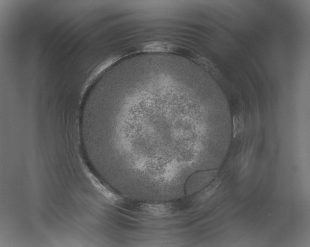 X0000054370349200508121546