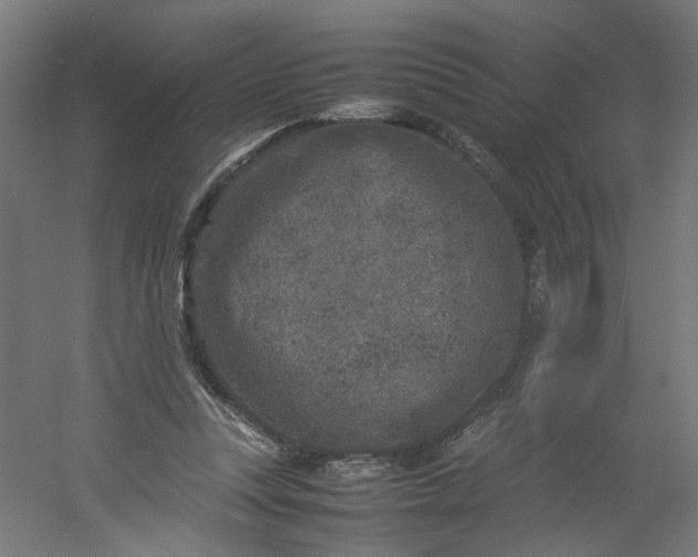 X0000054370351200508121546