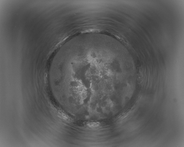 X0000054370355200508121546