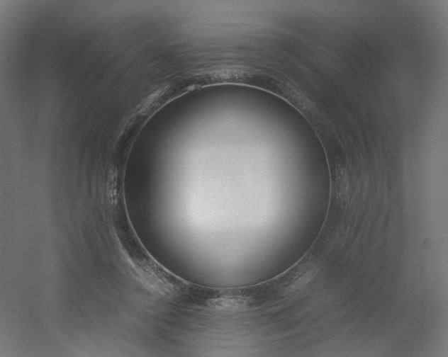 X0000054370356200508121546