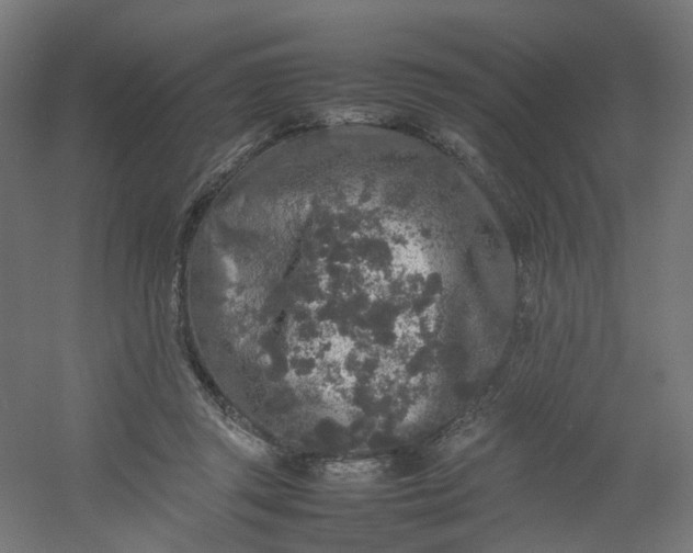 X0000054370357200508121546