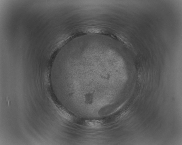 X0000054370359200508121546