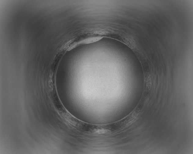 X0000054370360200508121546