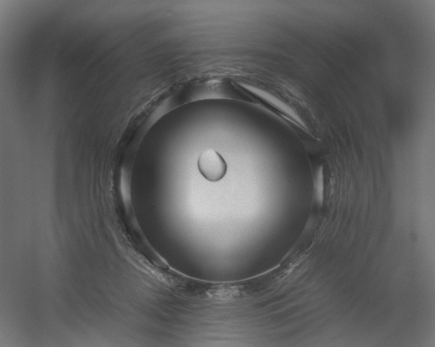 X0000054370362200508121546