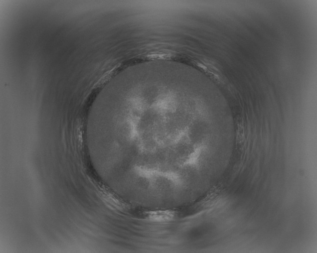 X0000054370363200508121546