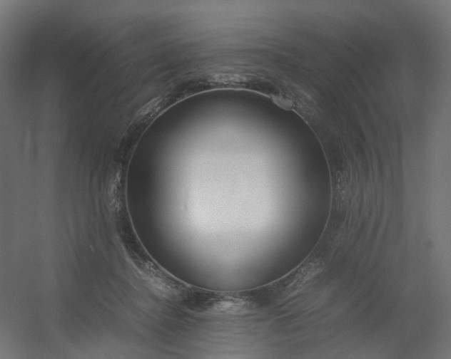 X0000054370364200508121546