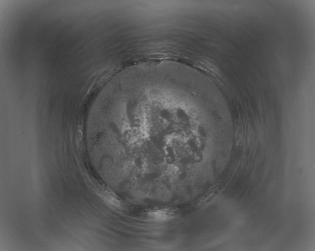 X0000054370365200508121546