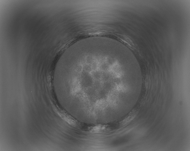 X0000054370366200508121546