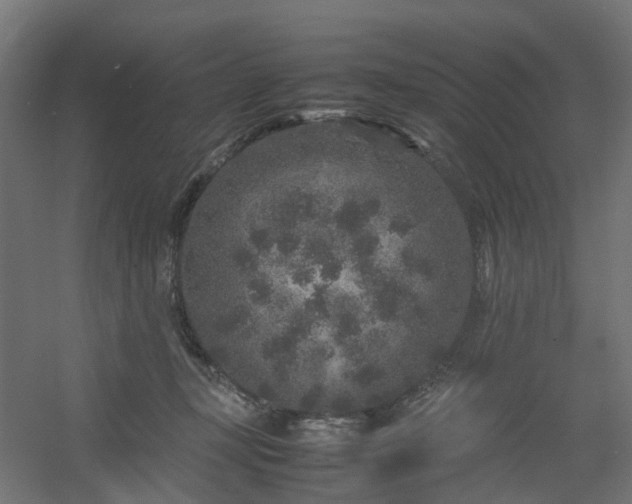 X0000054370367200508121546