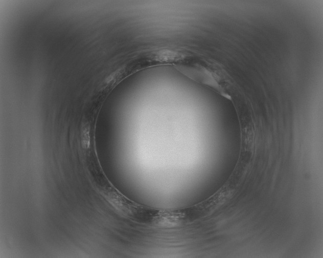 X0000054370368200508121546