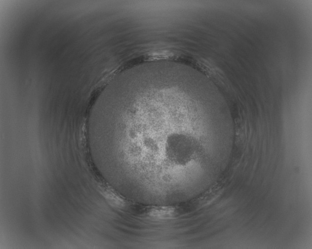 X0000054370369200508121546