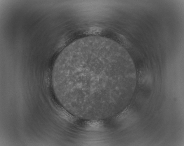 X0000054370370200508121546