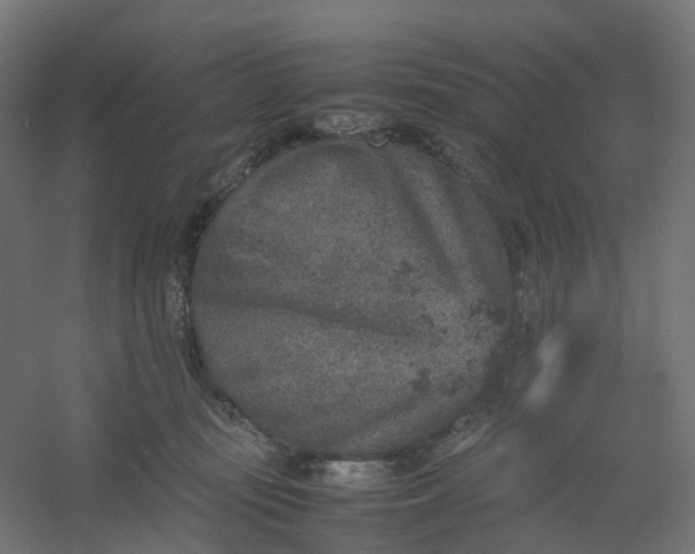 X0000054370371200508121546