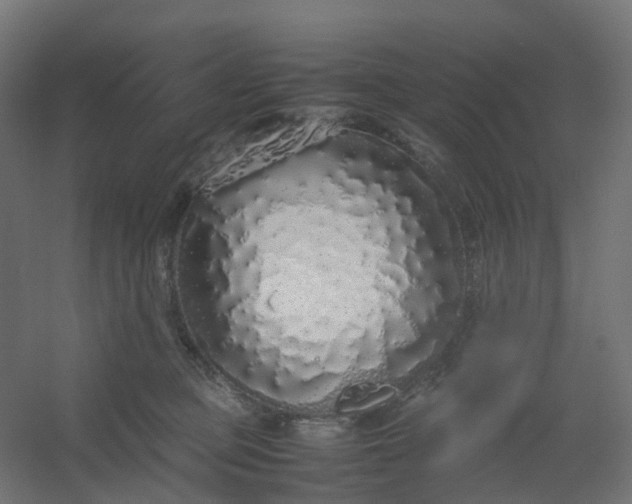 X0000054370373200508121546