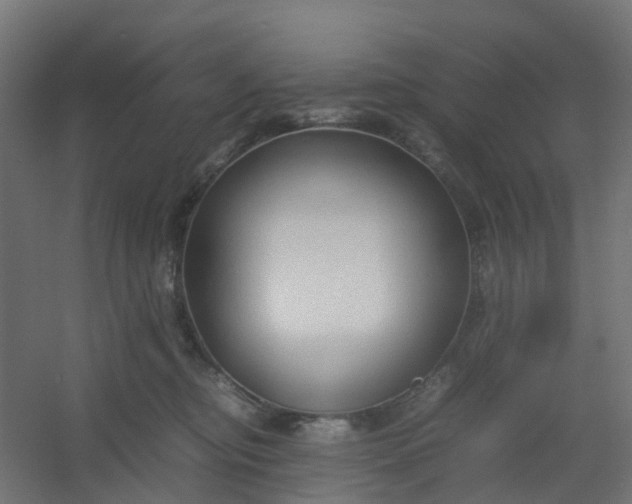 X0000054370374200508121546