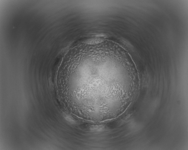 X0000054370377200508121546