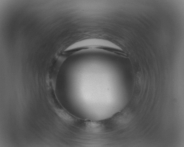 X0000054370380200508121547