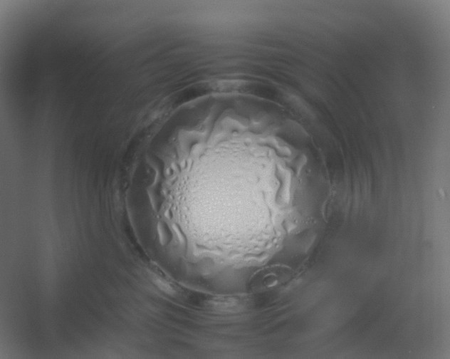 X0000054370381200508121547