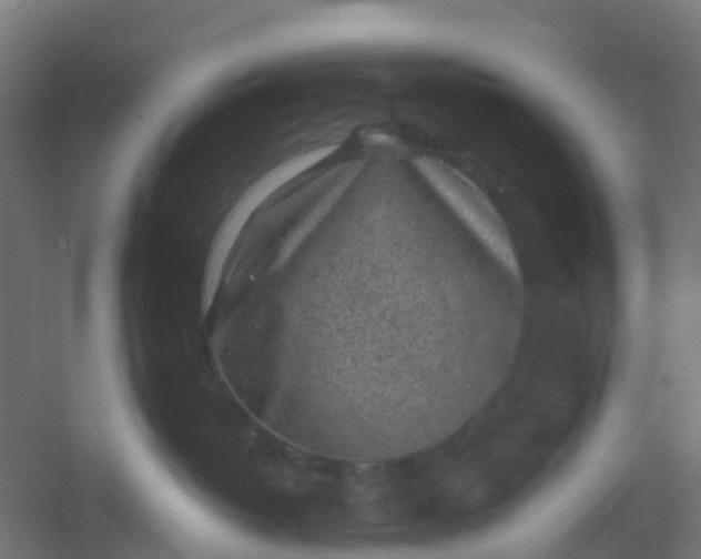 X0000054370382200508121547