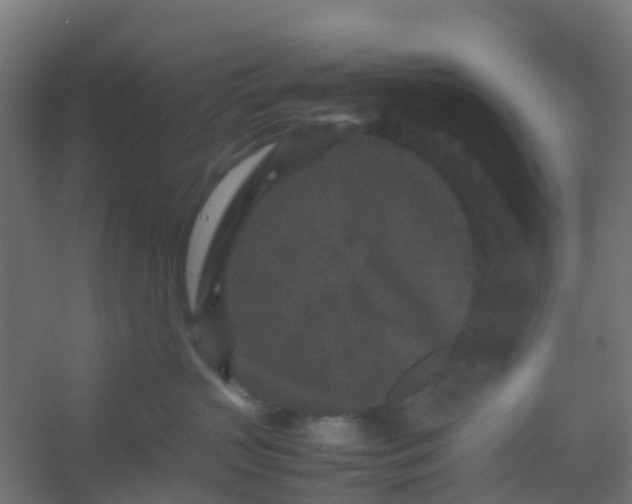 X0000054370383200508121547